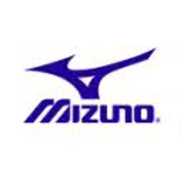 Mizuno logo