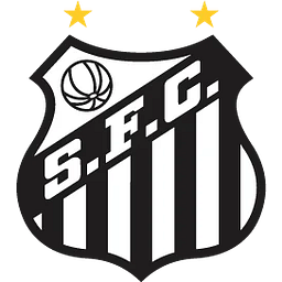 Santos Store logo