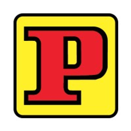Panini logo