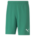 Shorts Puma Teamrise Masculino