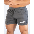 Shorts de Verão em Malha de Secagem Rápida para Homens Shorts Casuais Esportivos Calças de Praia Respiráveis Adeq